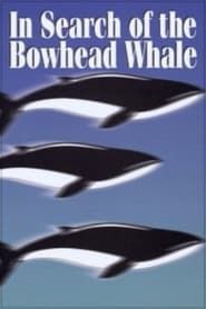 In Search of the Bowhead Whale series tv