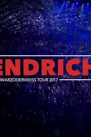 Fendrich Live - Schwarzoderweiss Tour 2017 (2017)