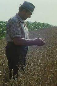 Mikolaš Farmer Worker's First Holidays series tv