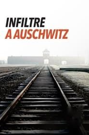 Image Infiltré à Auschwitz