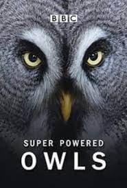 Super Powered Owls series tv