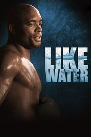 Anderson Silva: Like Water series tv