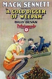 Image Gold Digger of Weepah 1927