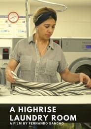 A Highrise Laundry Room series tv