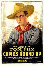 Cupid's Roundup (1919)