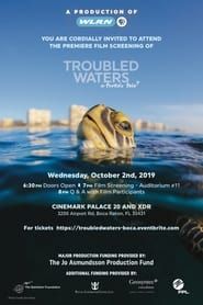 Troubled Waters: A Turtle