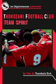 Thokozani Football Club: Team Spirit series tv