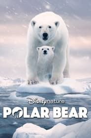 Voir Ours polaire (2022) en streaming