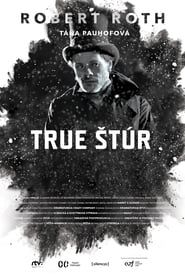 True Štúr (2015)