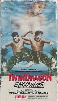 Image Twin Dragon Encounter 1986
