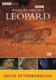 Leopard: The Agent of Darkness series tv