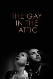 The Gay in the Attic series tv