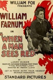 When a Man Sees Red (1917)