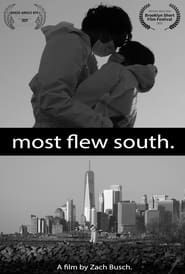 Most Flew South series tv