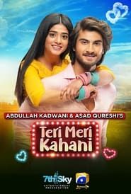 watch Tere Mere Kahani
