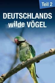 Deutschlands Wilde Vögel 2-hd