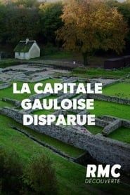 Image La capitale gauloise disparue 2020