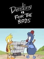 Destiny is for the Birds (2011)