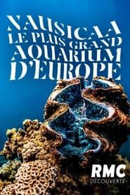Nausicaa: The Largest Aquarium in Europe series tv