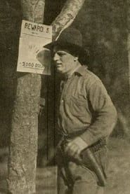 Broncho Billy's Last Deed (1913)