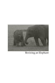 Image Reviving an Elephant