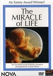 The Miracle of Life series tv