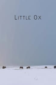 Little Ox series tv