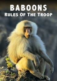 Image Baboons: Rules of the Troop