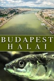 The Fish of Budapest series tv