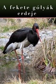 Image The Forest Of Black Storks