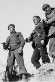 To My Son in Spain: Finnish Canadians in the Spanish Civil War (2009)