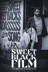 Naissance d'un héros noir au cinéma : Sweet Sweetback 2022 streaming