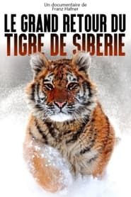 Image Le grand retour du tigre de Sibérie 2021