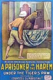 A Prisoner in the Harem (1913)