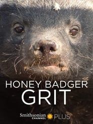 Honey Badger: Grit series tv
