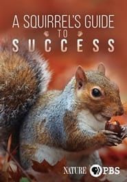 A Squirrel's Guide to Success series tv