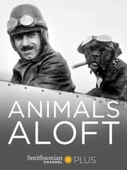 Animals Aloft series tv