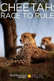 Cheetah: Race to Rule (2014)