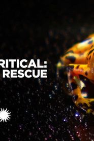 Image Mission Critical: Amphibian Rescue