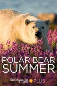 Image Polar Bear Summer