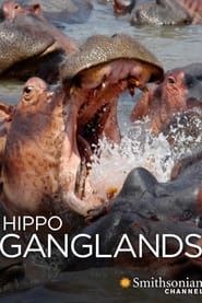 Hippo Ganglands series tv