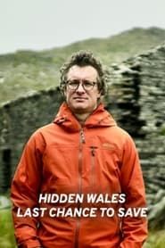 Hidden Wales: Last Chance to Save series tv