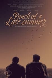 Punch of a Late Summer series tv