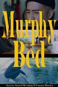 Image Murphy Bed