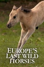 Image Europe's Last Wild Horses