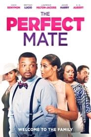 The Perfect Mate series tv