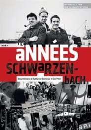 Les années Schwarzenbach (2010)