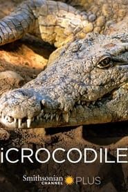 Affiche de iCrocodile