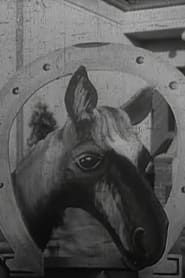 Das Stacheltier - Ein Pferd müßte man haben (1961)