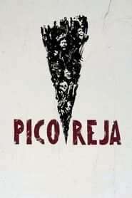 Pico Reja: The Truth Buried Beneath series tv